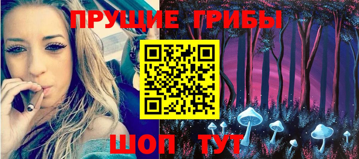 Усть-Илимск  Псилоцибиновые грибы Psilocybe  Вход с VPN 